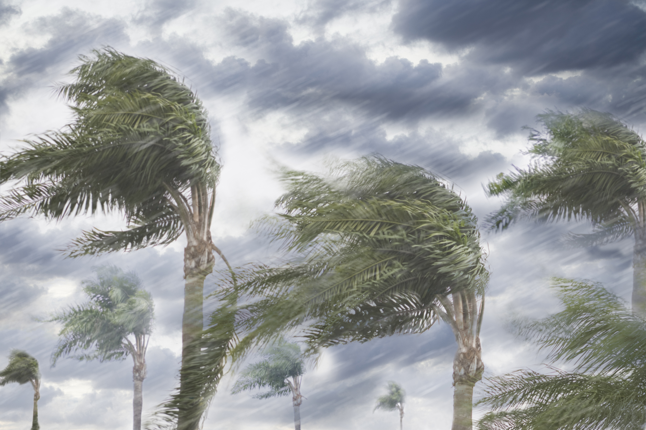 Biden OKs Florida Disaster Aid for May Storms