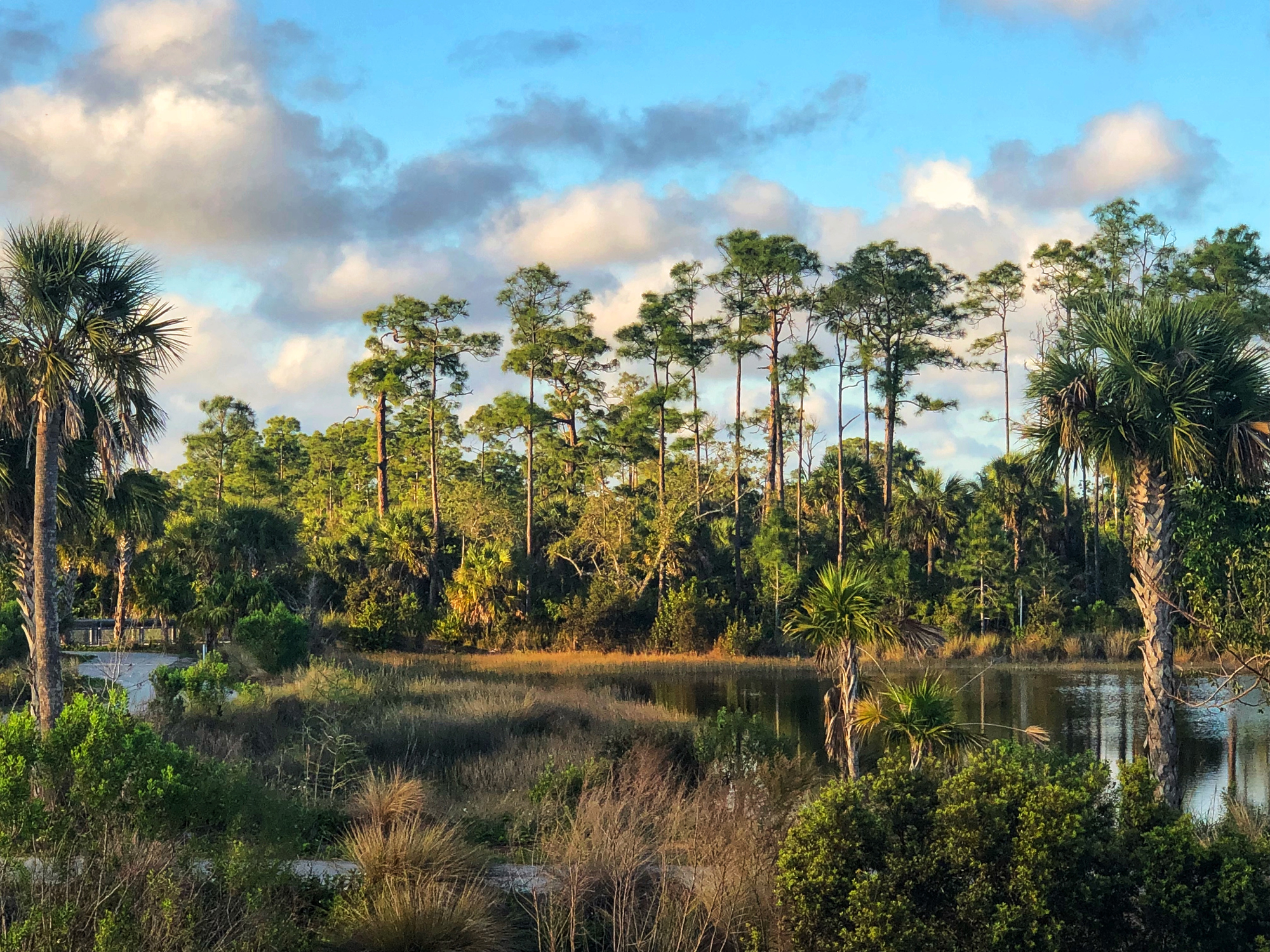 Wetlands Fight to Continue for Months