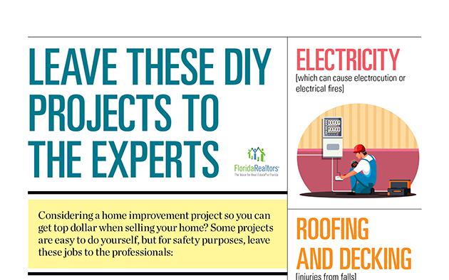 Leave These DIY Projects to the Professional infographic