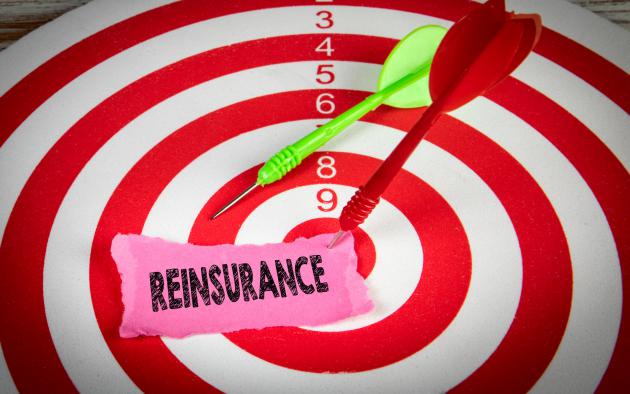 The word reinsurance on top of a target with darts sticking in it
