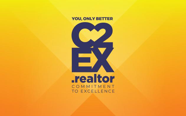 c2ex logo