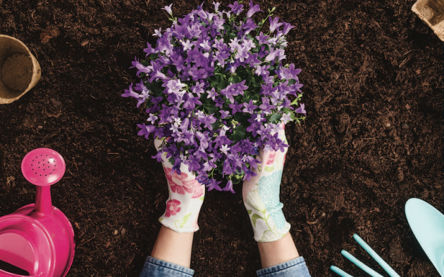 Hands planting flowers in dirt