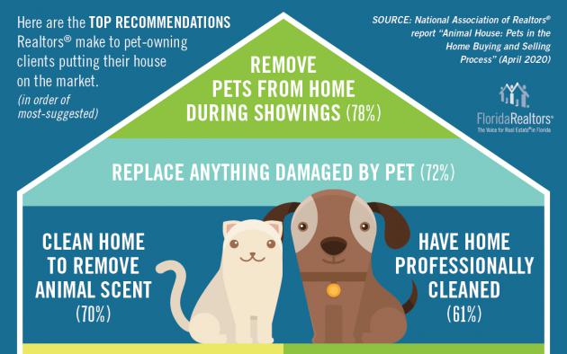 6 Tips for Pet Owners Selling Their House