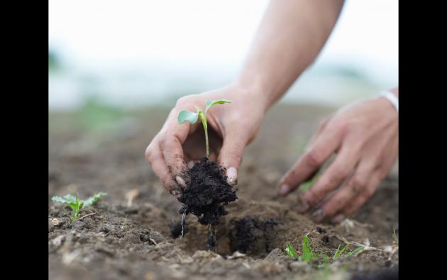 How ‘Thinking Like a Farmer’ Helps Your Real Estate Business Thrive
