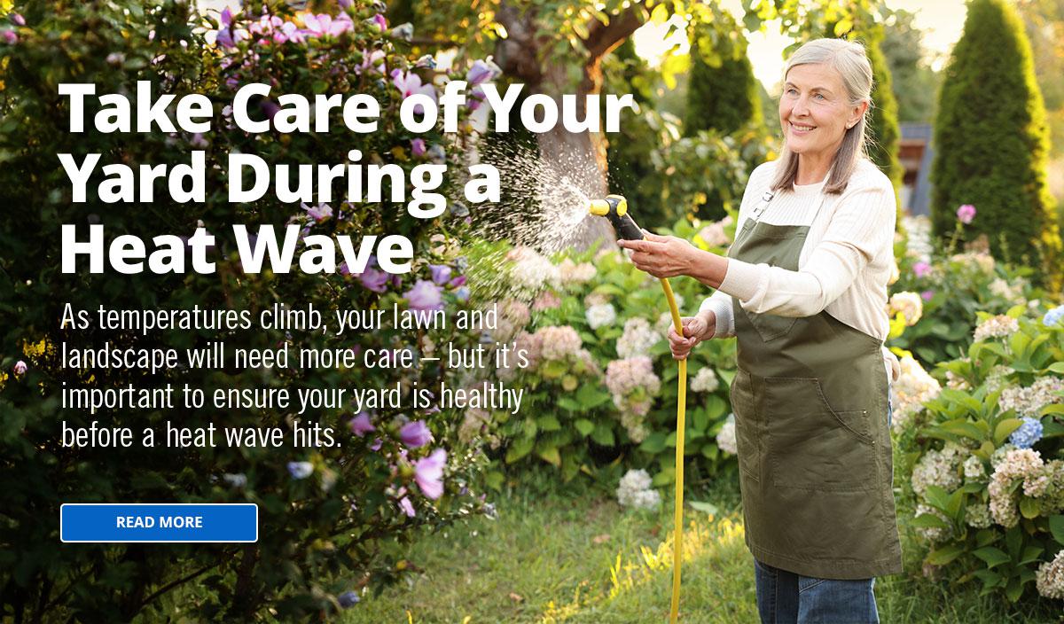 take care of your lawn during heat wave