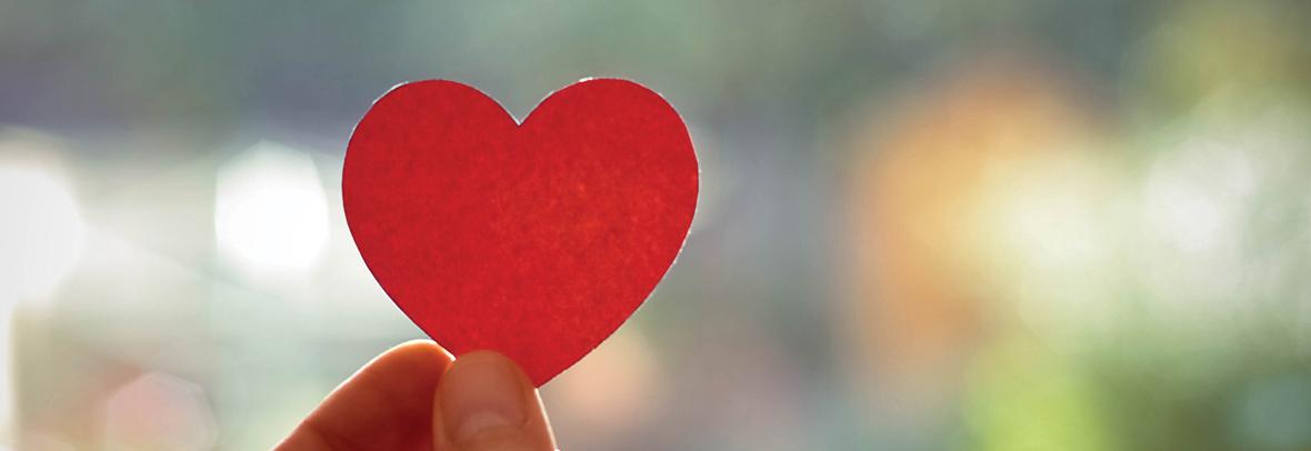 Hand holding a red heart shape