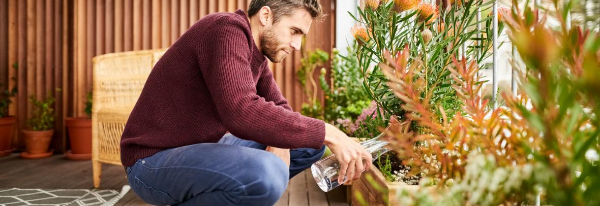 Young man giving water to plants in the balcony of his house