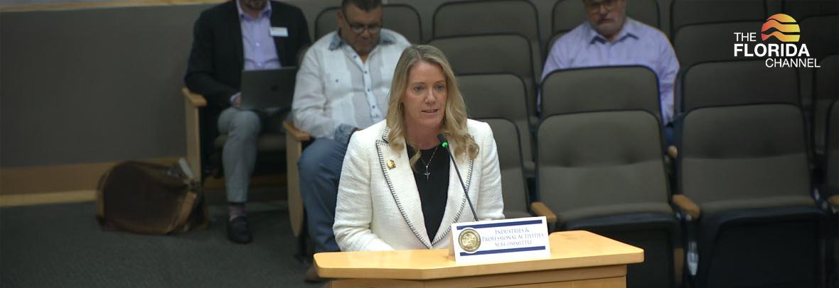 Florida Realtors CEO Marty Grant talks to a House subcommittee about out eliminating FREC. Florida Realtors opposes the measure