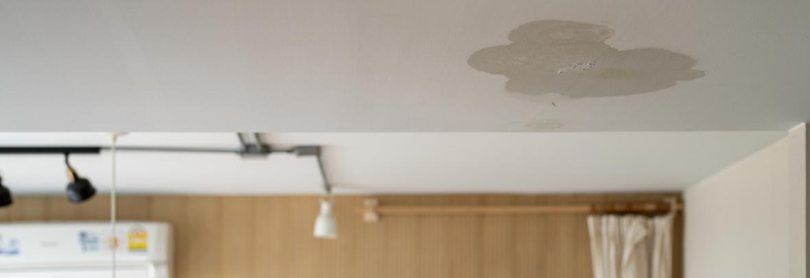 Roof leakage, water damaged ceiling roof and stain on ceiling 
