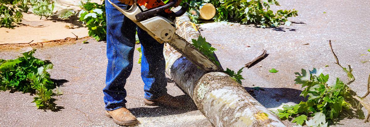 Equipped for after-storm cleanup