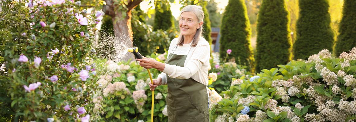 Lawn care during a heat wave