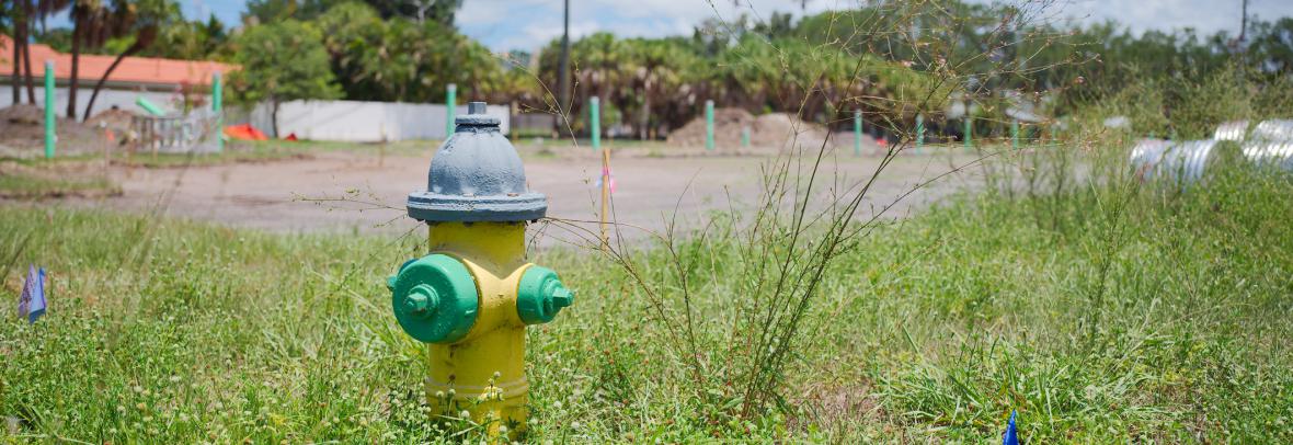 overgrown lot with fire hydrant