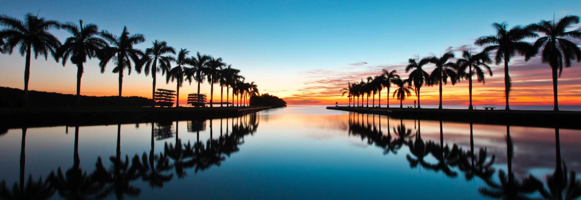 Palm trees along inlet at sunset