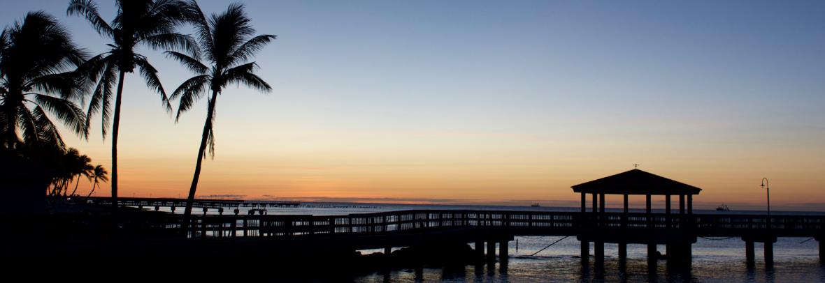 pier and palm trees along florida beach