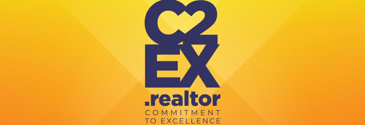 c2ex logo