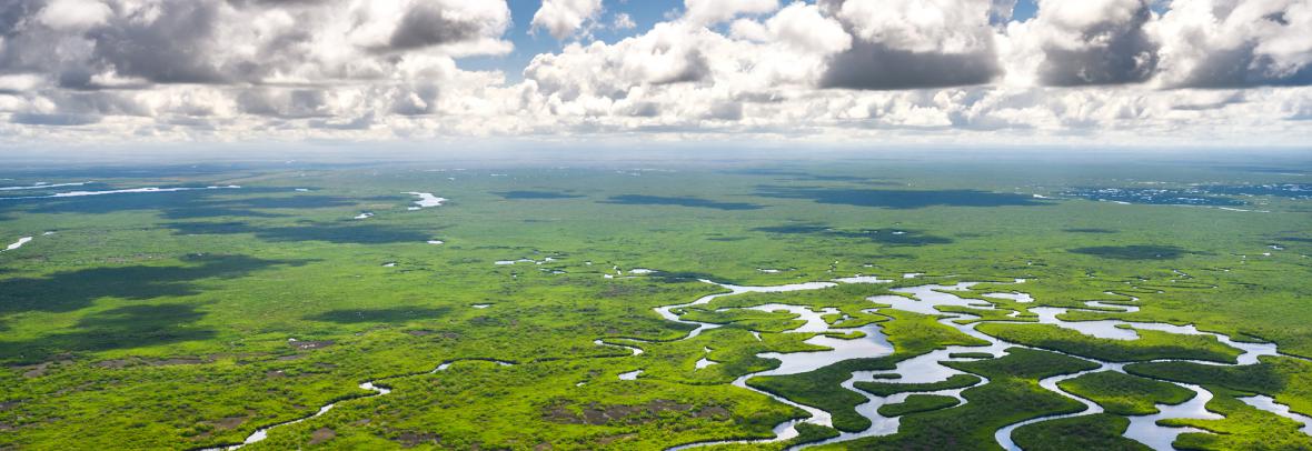 Aerial view of the everglades