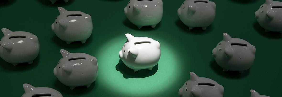 Leads, Piggy bank with spotlight