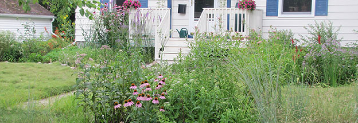 Front yard of home with greenery