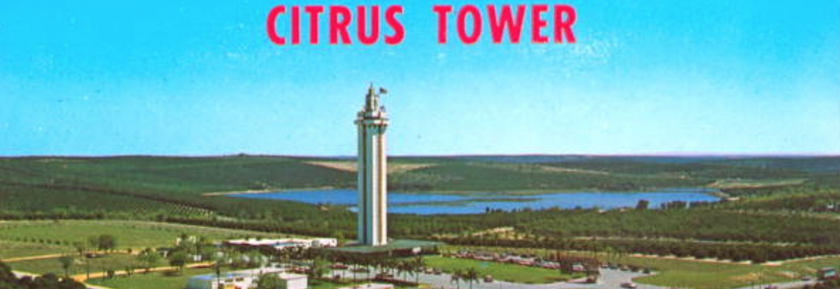Old postcard showing Citrus Tower in the 1950s