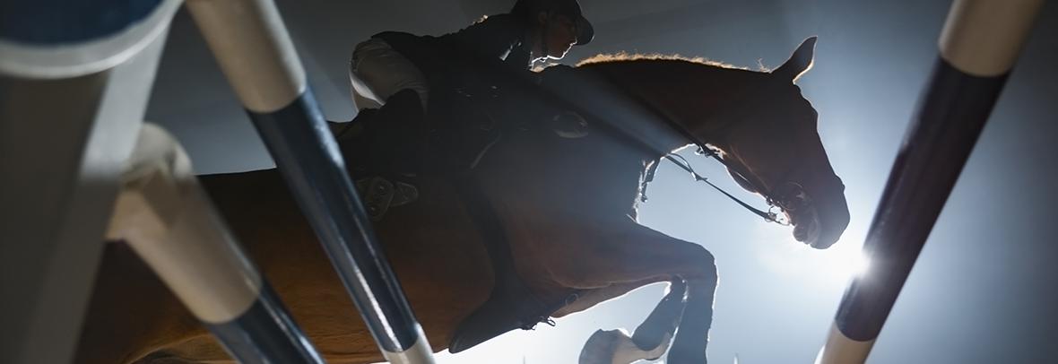 equestrian rider jumping over an obstacle