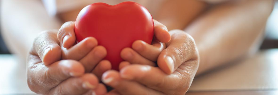 Heart held by a child's hands that are held by an adult's hands
