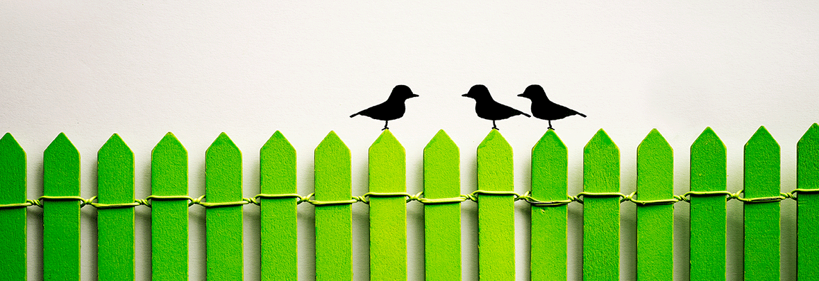 photo illustration of 3 black birds sitting on a green Pickett fence, one bird facing two birds