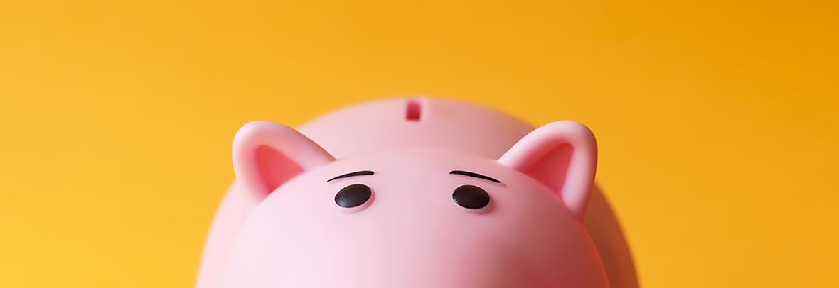 Piggy Bank on orange background