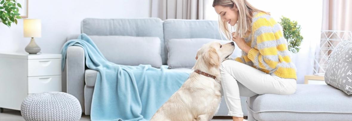 woman on sofa looking at dog