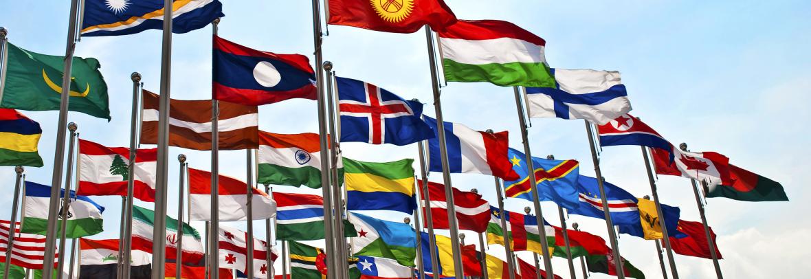 Flags of each country waving in breeze
