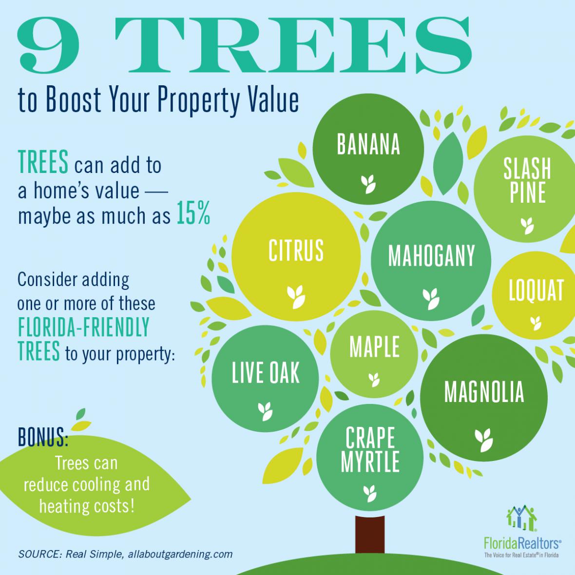 9 Trees to Boost Your Property Value infographic