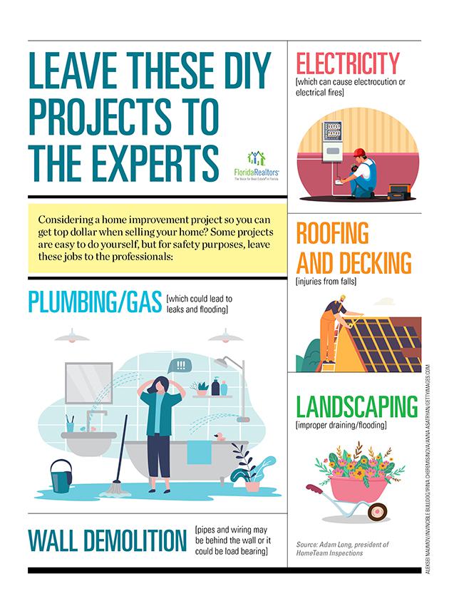 Leave These DIY Projects to the Professional infographic