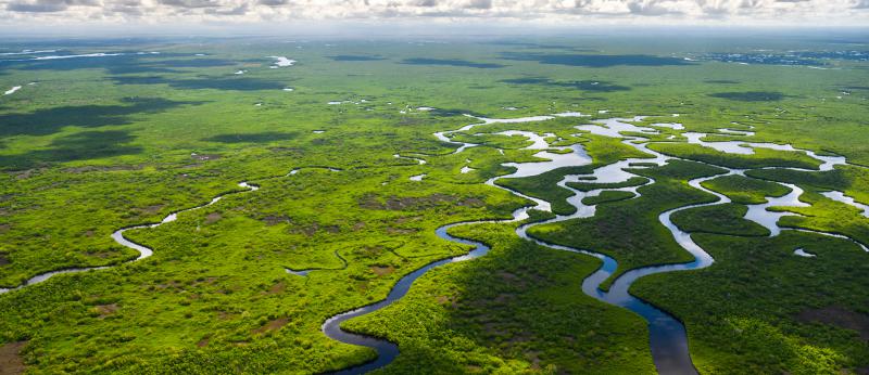 Aerial view of Everglades National Park in Florida, USA 