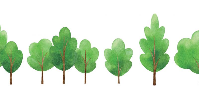 Line of trees in watercolor style