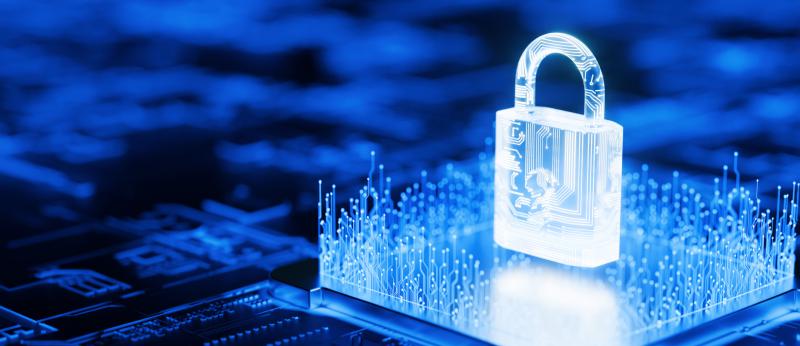 Security padlock and circuit board to protect data image