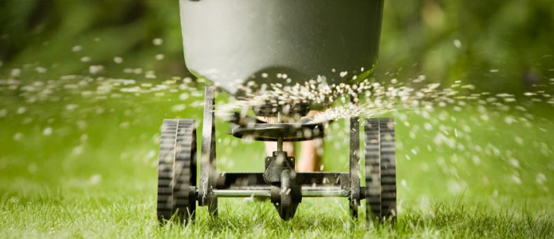 Fertilizer pellets spraying from spreader 