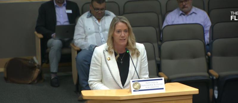 Florida Realtors CEO Marty Grant talks to a House subcommittee about out eliminating FREC. Florida Realtors opposes the measure