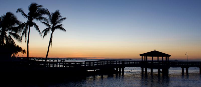 pier and palm trees along florida beach