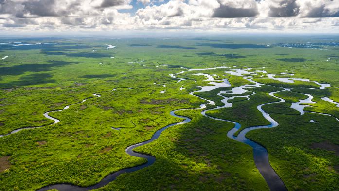 Aerial view of Everglades National Park in Florida, USA 
