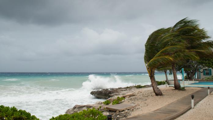 Palm trees blowing at beach with storm surge