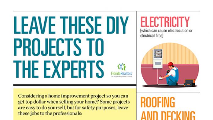 Leave These DIY Projects to the Professional infographic