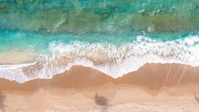 Photo of the shoreline of Florida