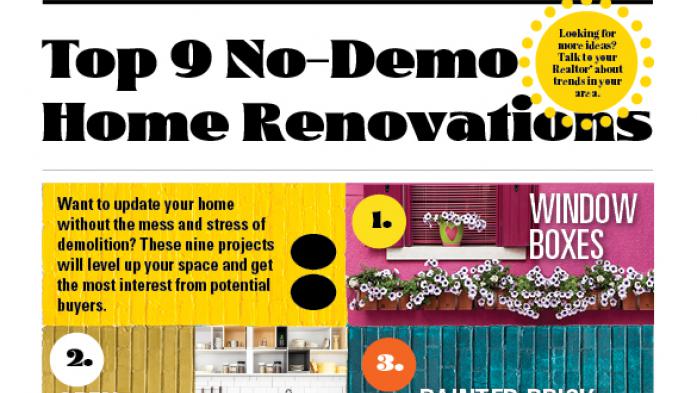 top no-demo renovations infographic