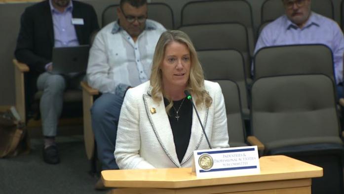 Florida Realtors CEO Marty Grant talks to a House subcommittee about out eliminating FREC. Florida Realtors opposes the measure