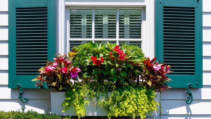 window box and shutters at exterior home window