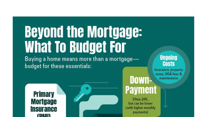 Beyond the Mortgage infographic