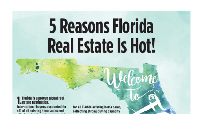 Florida real estate market is hot infographic