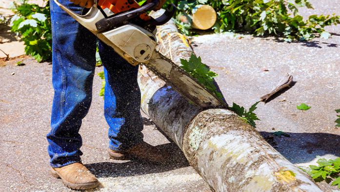 Equipped for after-storm cleanup