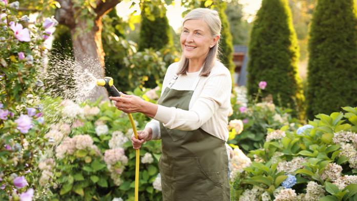 Lawn care during a heat wave