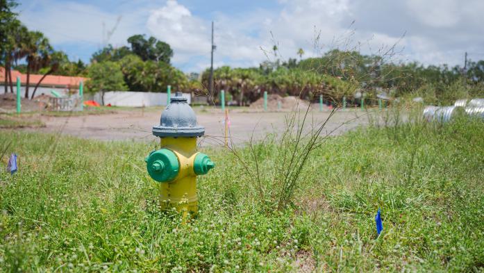 overgrown lot with fire hydrant