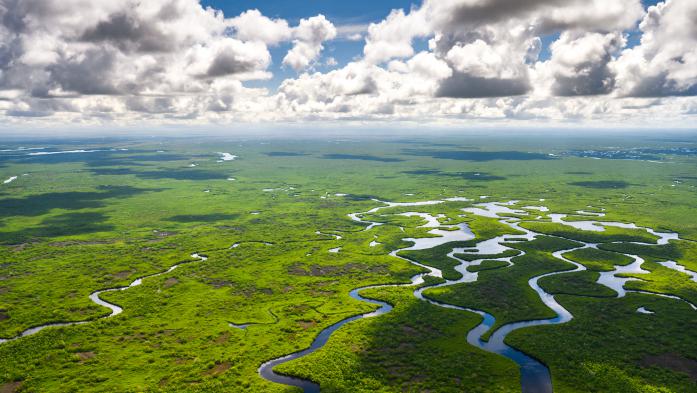 Aerial view of the everglades